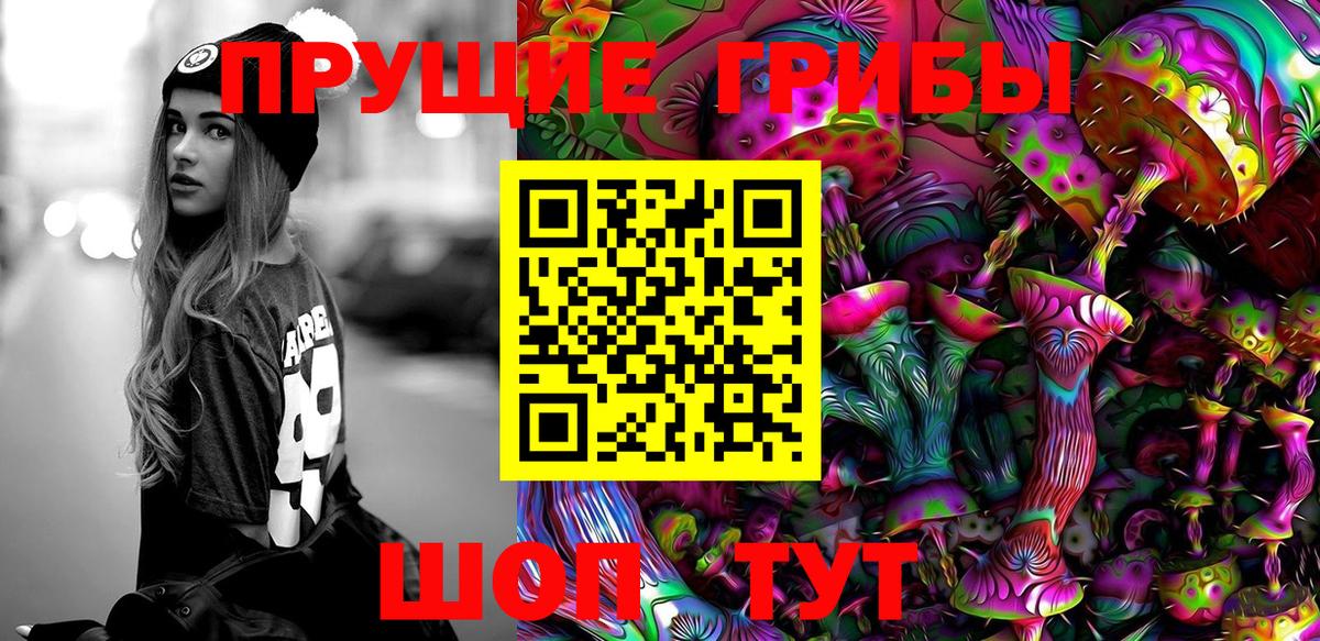 Псилоцибиновые грибы Psilocybe  Вход с VPN  Дальнереченск 